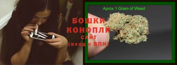 mix Богородицк