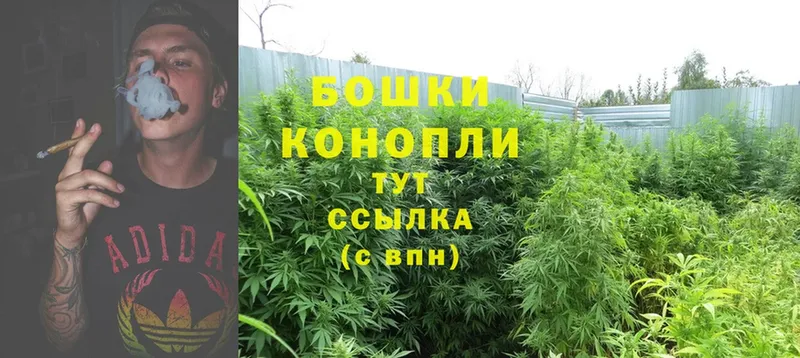 Бошки марихуана Bruce Banner  Рыбинск 